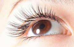 睫毛种植可不可以种下睫毛